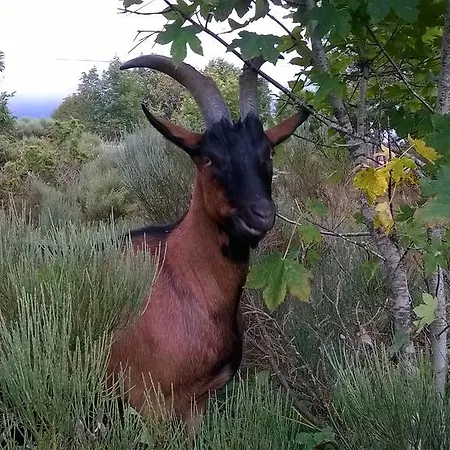 Domaine Du Mas Du Taillet 3*